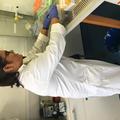 Visiting PhD student, Arpita, carrying out lab work in the sterile flow bench