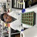 Athira in the lab with tray of seedlings on the bench in front of her