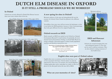 The impact of Dutch Elm Disease in Oxford. This is the third and final information board on the topic currently displayed at the Harcourt Arboretum. 